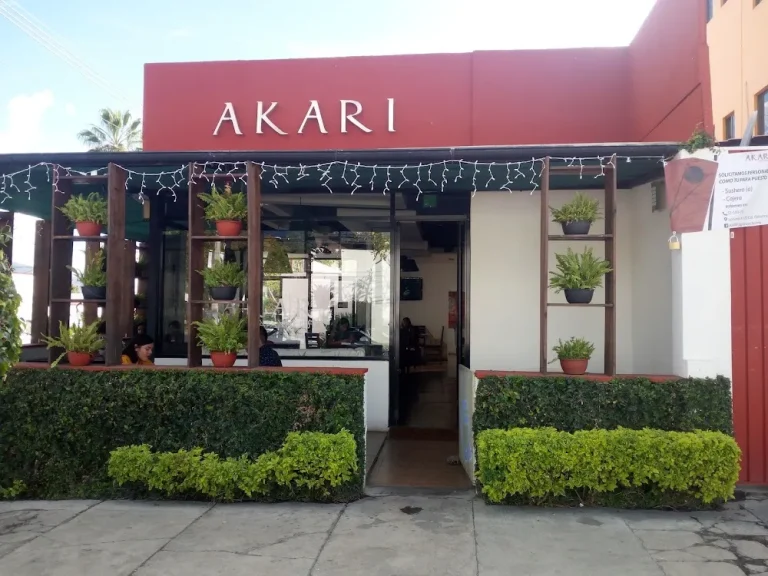 Akari Menu