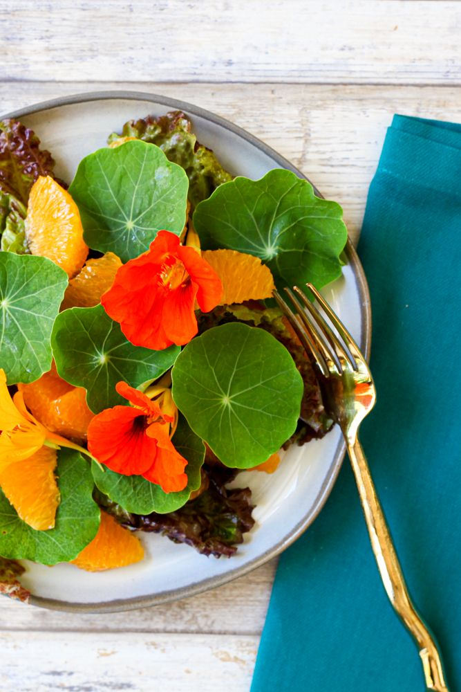 Edible Flowers in Spanish Cuisine: Adding Elegance to Traditional Dishes